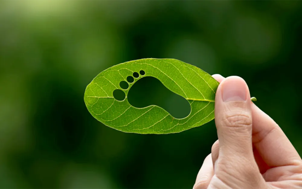 Huella de carbono: Escobar midió sus emisiones de gases de efecto invernadero