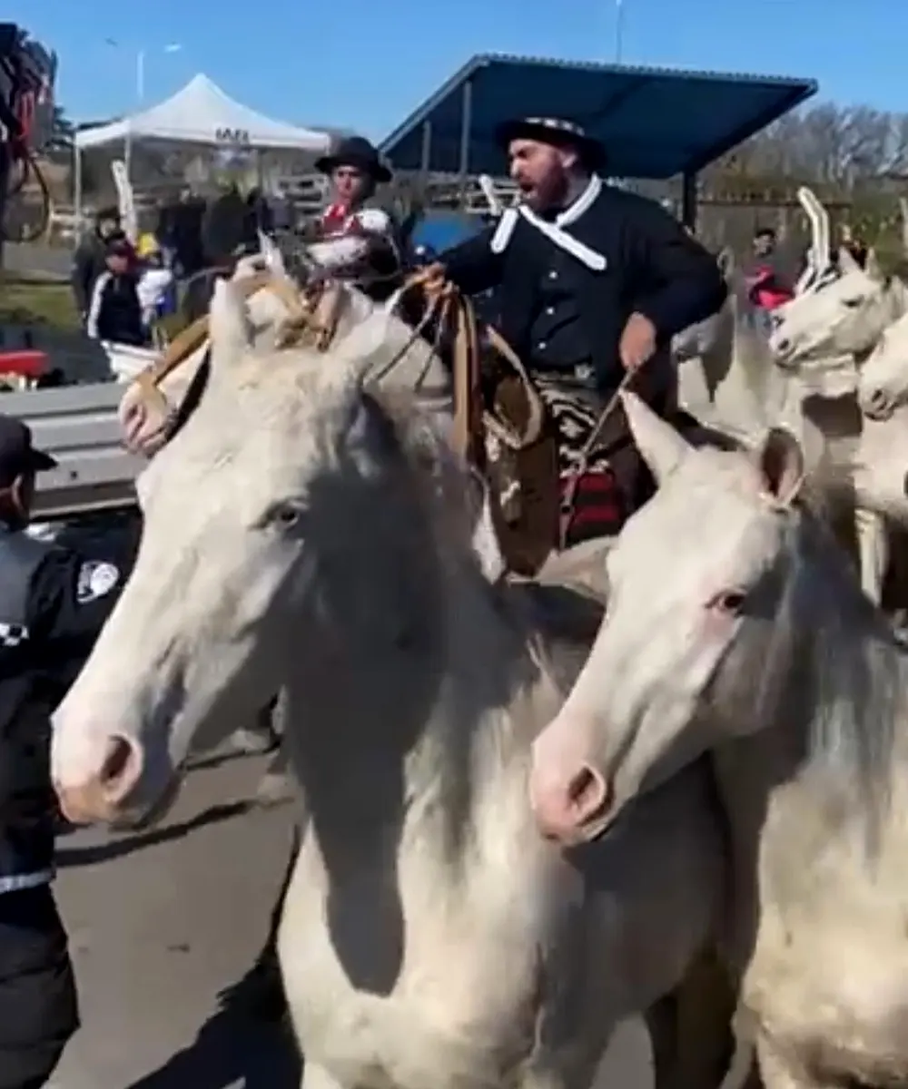 Jinete borracho quiso irrumpir en el desfile