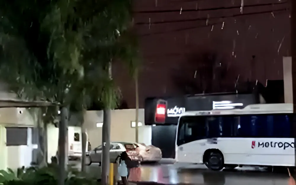 Lunes bajo cero: una tenue y breve nevada sorprendió a los escobarenses