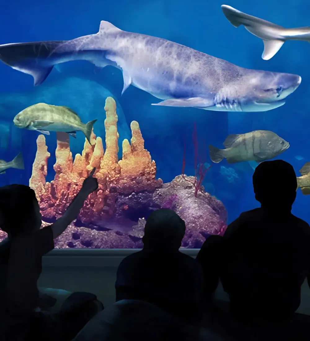 Tiburones y peces en el acuario de Temaikèn, nadando frente a visitantes.