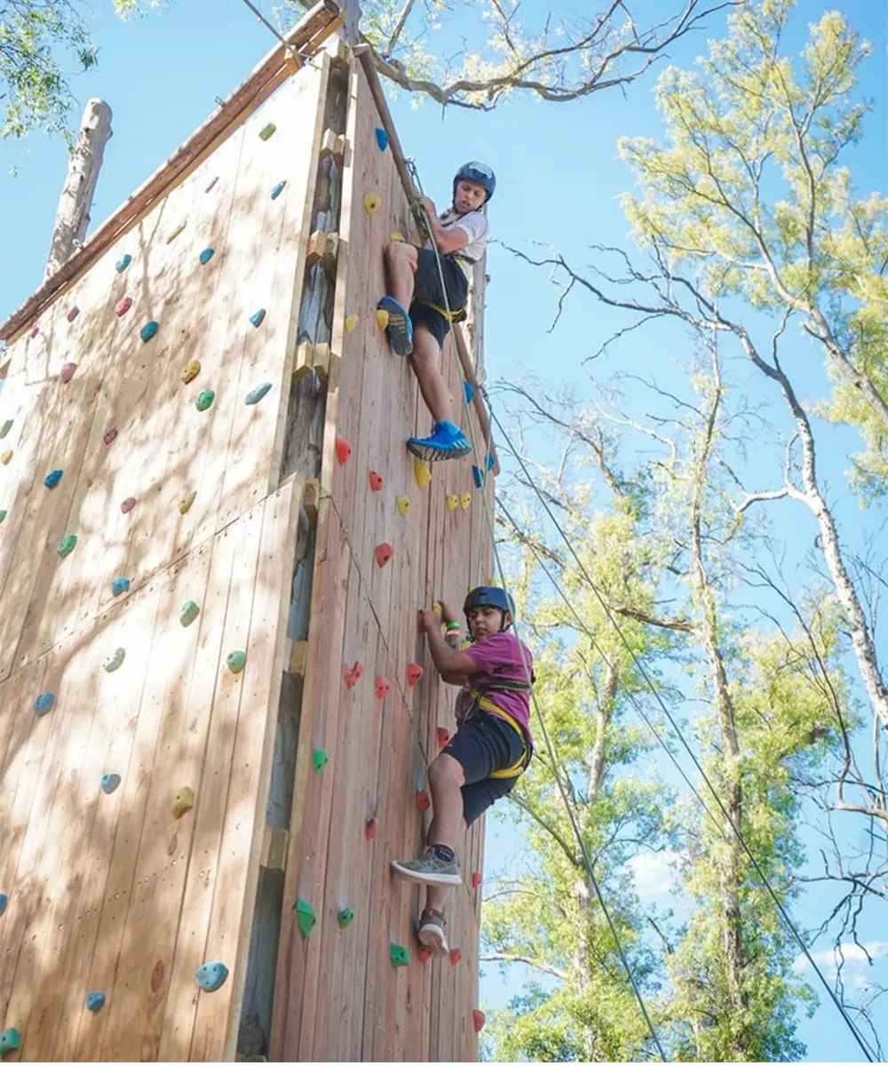 Chiucos jugando en la palestra del parque Aéreo Aventura, una de las propuestas de la Granja Don Benito