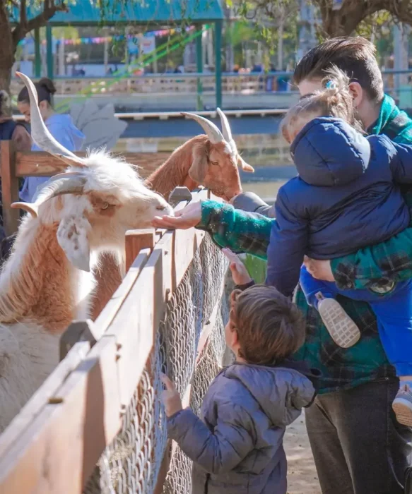 Gente d&aacute;ndole de comer a animales en la Granja Don Benito