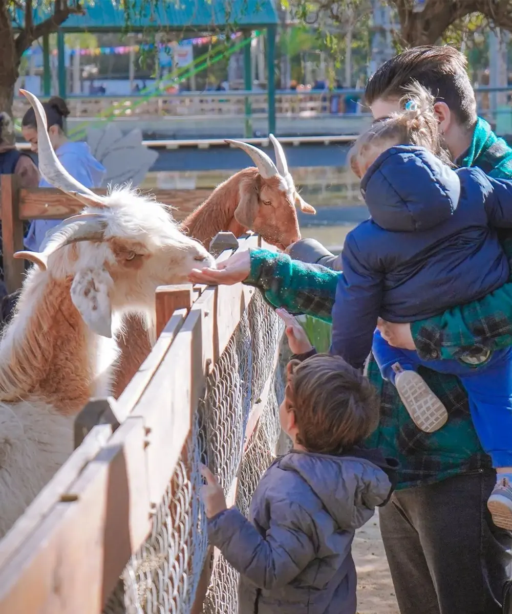 Gente dándole de comer a animales en la Granja Don Benito