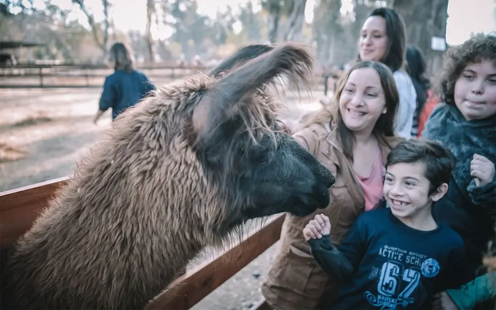 Granja Don Benito, una salida ideal en Maschwitz para estas vacaciones
