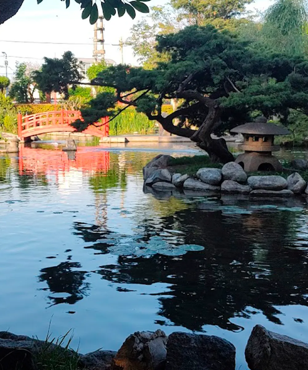 Lago del Jardín Japonés