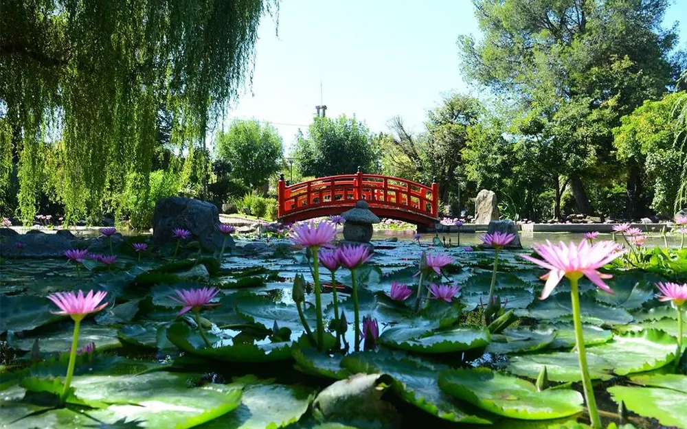 El Jardín Japonés, un buen plan para las vacaciones de invierno en Escobar