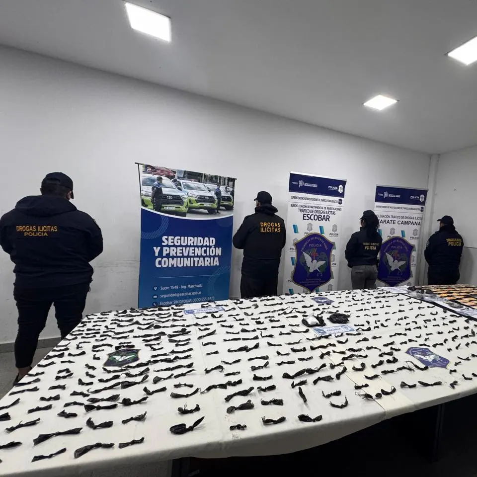 Parte de lo incautado por fuerzas policiales