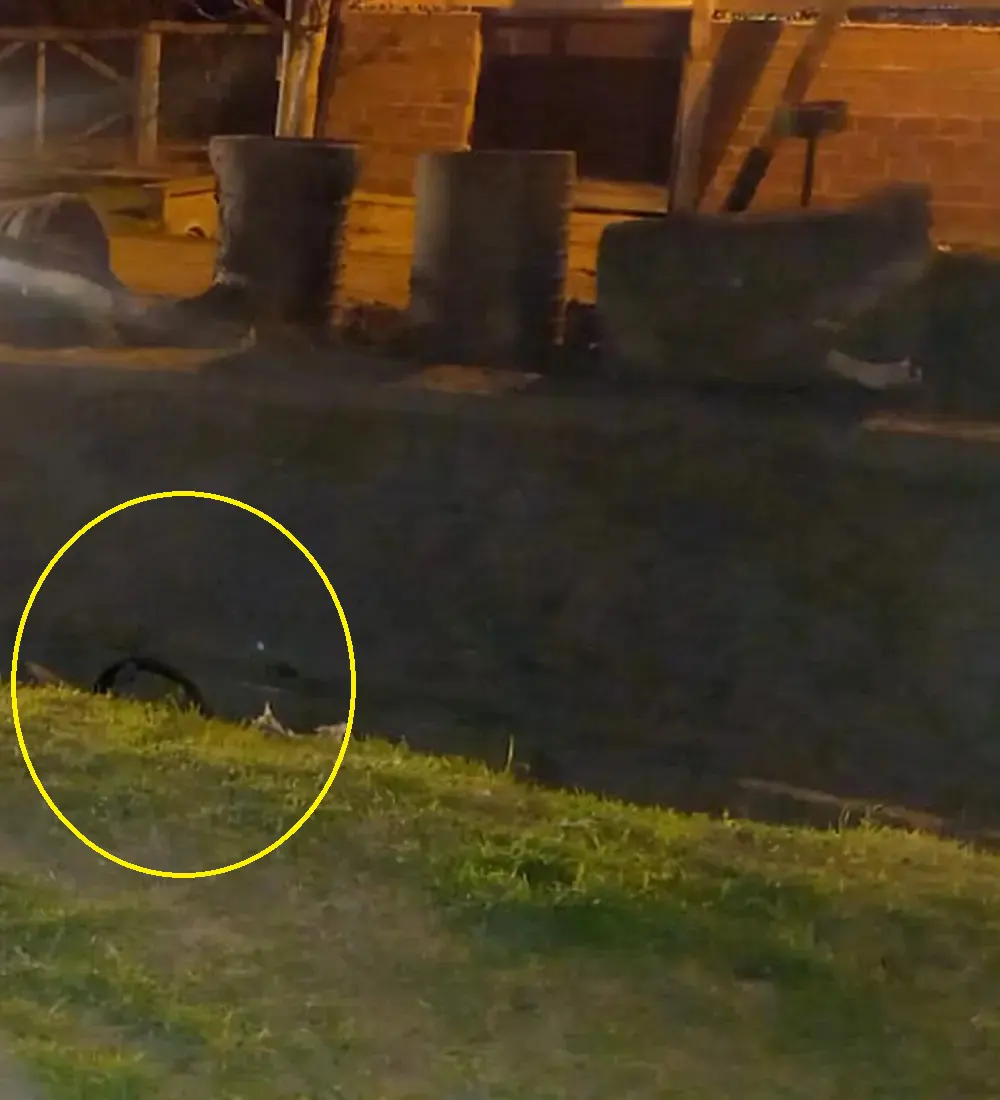 Vista de la zanja donde fue hallado sin vida el ciclista, con su bicicleta dentro del canal.