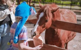 Los niños se divierten dando de comer a los animales de la Granja Don Benito