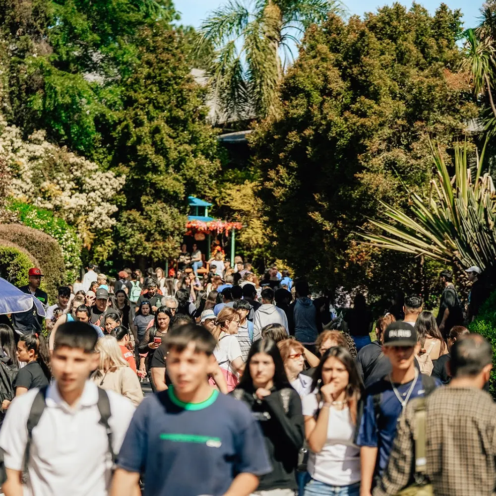 Miles de vecinos y visitantes caminado por la Fiesta Nacional de la Flor.