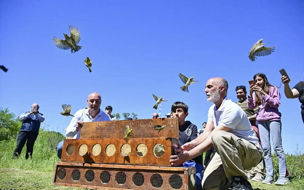 Emotiva liberación de aves silvestres nativas en la Reserva de Maschwitz