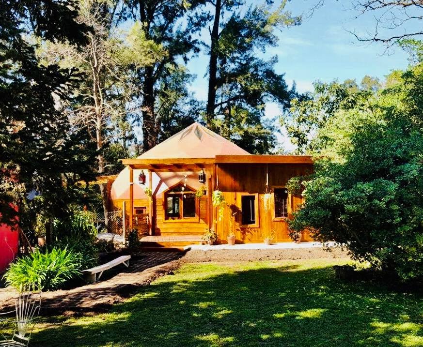 colegio el viejo abedul