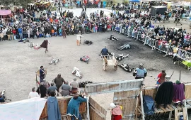 Terra Avstralis recrea combates cuerpo a cuerpo en un ambiente medieval.