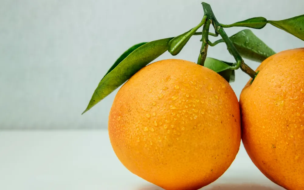 Las mejores frutas de Argentina: los sabores que no puedes perderte cada temporada