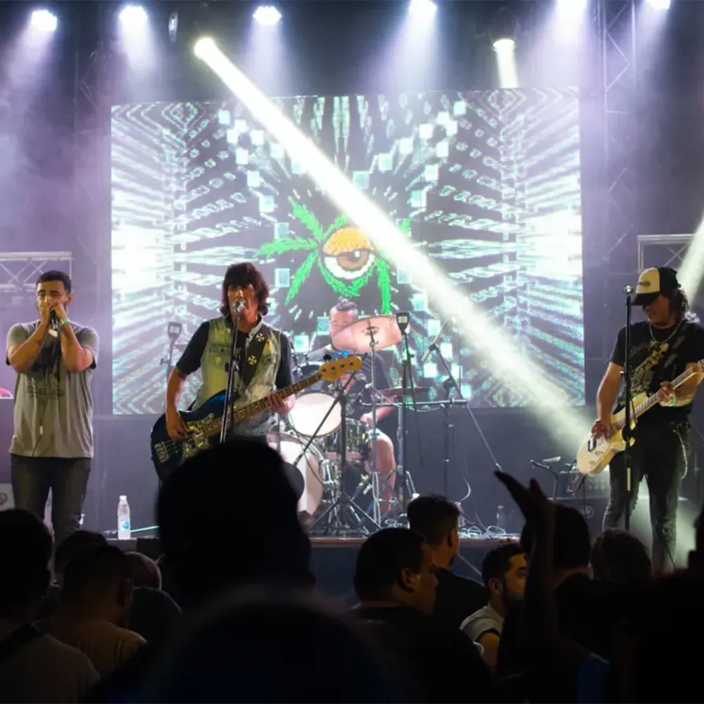 Viejas Locas en un recital