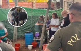 Rescataron a ocho perros de un criadero clandestino en el barrio Doña Justa