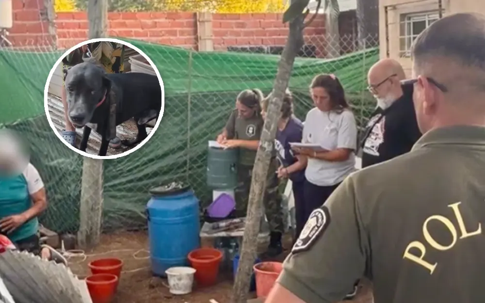 Rescatan a ocho perros de un criadero clandestino en el barrio Doña Justa
