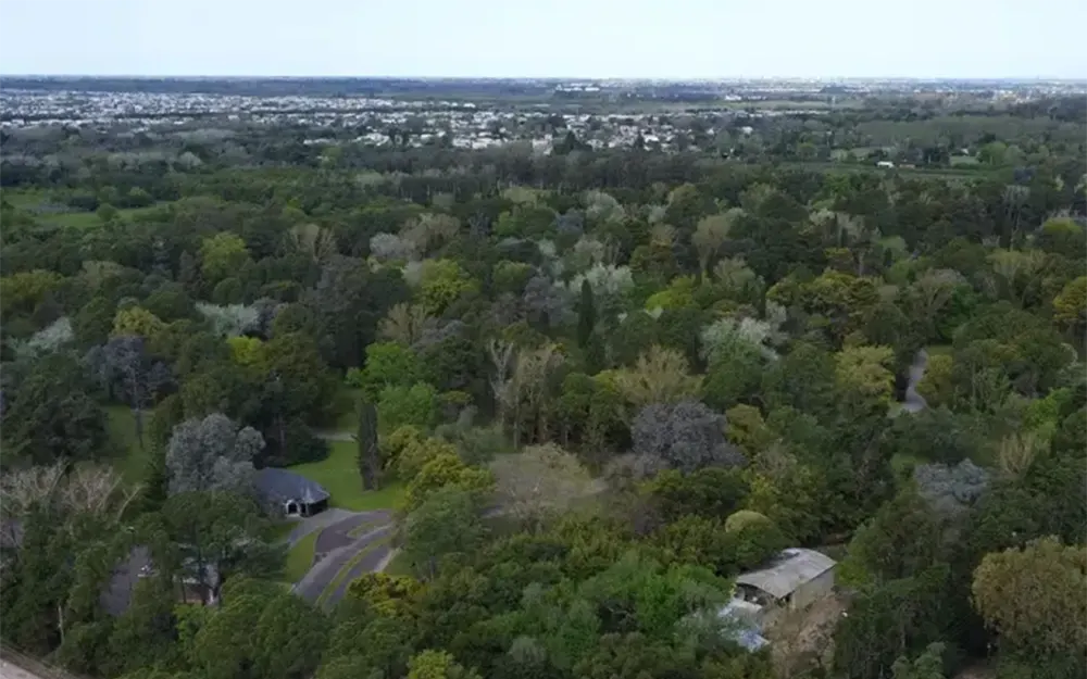 Arbolado público: el Concejo Deliberante aprobó la nueva reglamentación