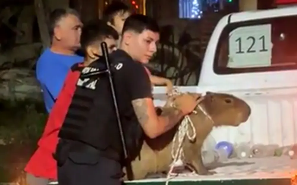 Capturan a un carpincho que paseaba por la plaza de Garín en Navidad