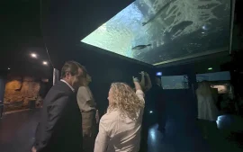 La Fundación abastece el 80% de la demanda de su bioparque con energía solar y eólica de YPF Luz.