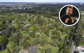 Sujarchuk presentó un proyecto para proteger el arbolado público en Escobar.