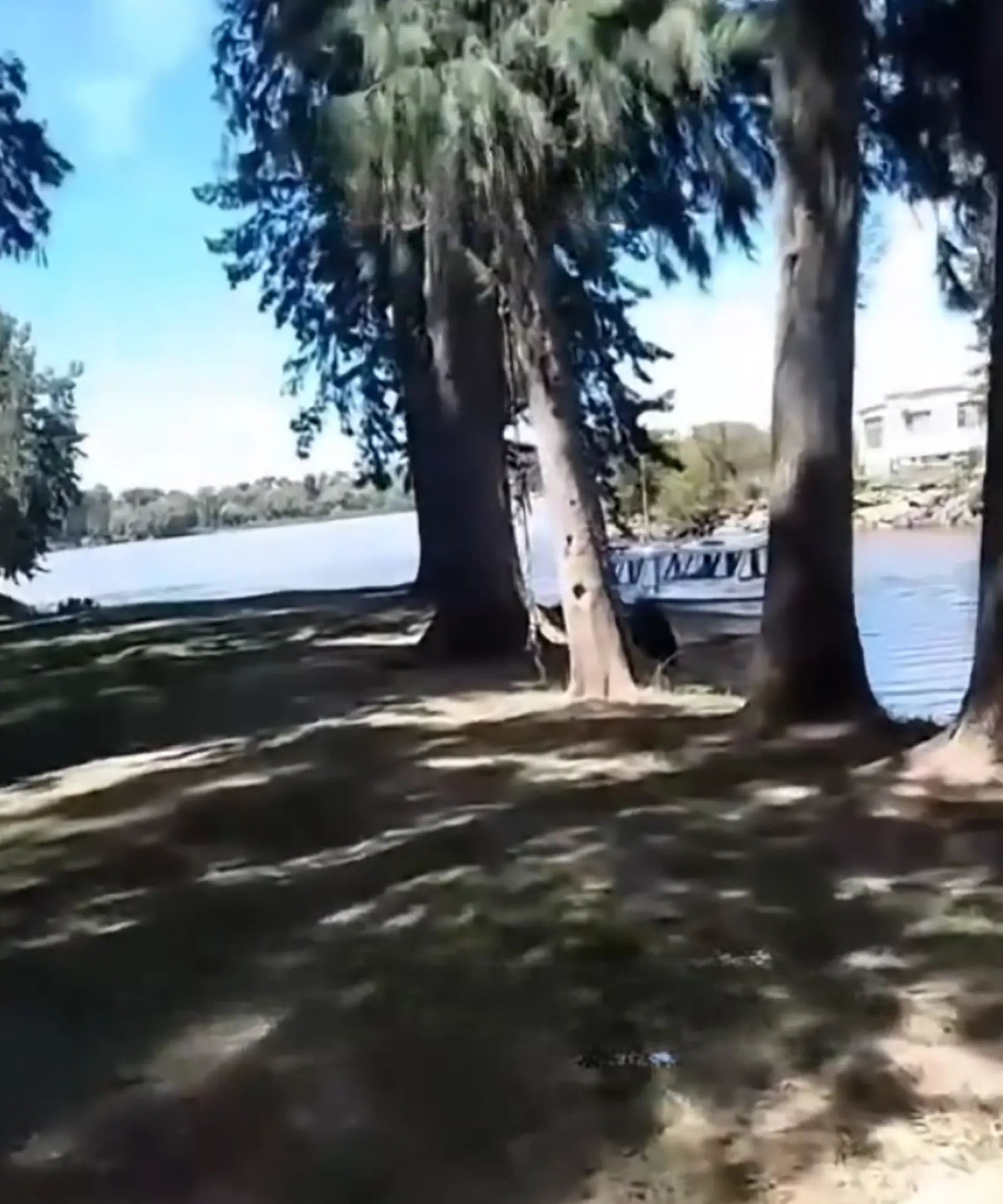 Zona del Arroyo El Correntino y el r&iacute;o Paran&aacute; donde se concret&oacute; el desalojo.