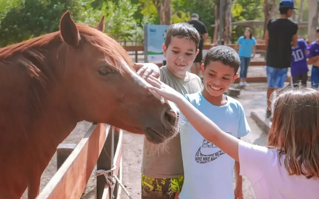 Precios, días y horarios para disfrutar la Granja Don Benito en verano