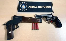 La Policía secuestró cuatro armas de fuego durante un allanamiento en Savio.