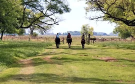Dos distritos bonaerenses exceden el tope legal de la extranjerización de tierras