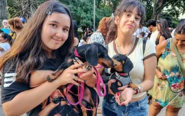 Adolecentes con sus mascotas perros salchichas