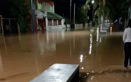 Sudestada Paraná de las Palmas