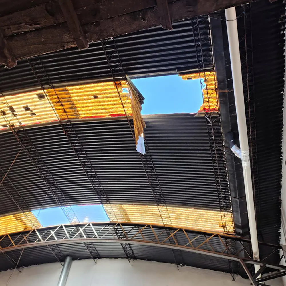 Techo de chapa roto, por el que cay&oacute; Santeusanio