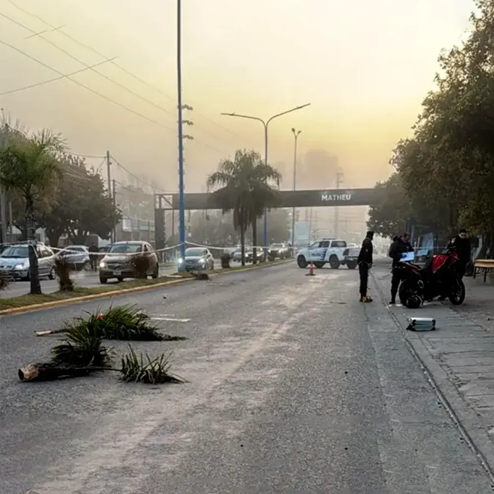 Pedazos de la palmera que choc&oacute; el motociclista esparcidos sobre la ruta