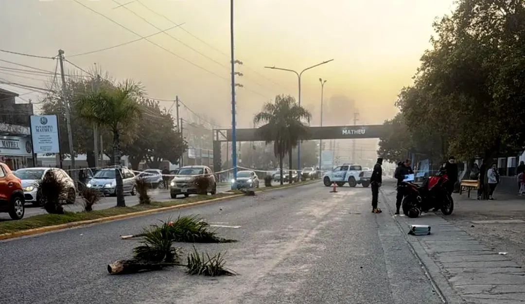 Joven motociclista perdió una pierna tras chocar contra una palmera en Matheu