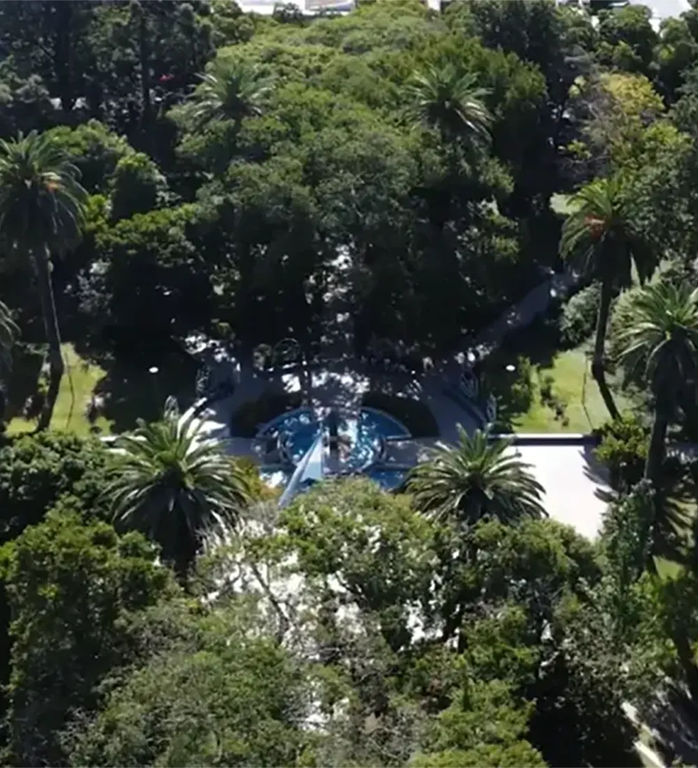 &aacute;rboles de la plaza principal de escobar
