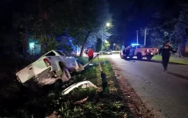 Un conductor alcoholizado chocó varios postes de luz en Loma Verde