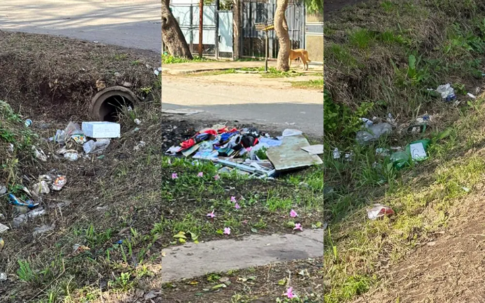 Preocupación vecinal por la acumulación de basura en el barrio Villa Alegre | Carta de Lectores