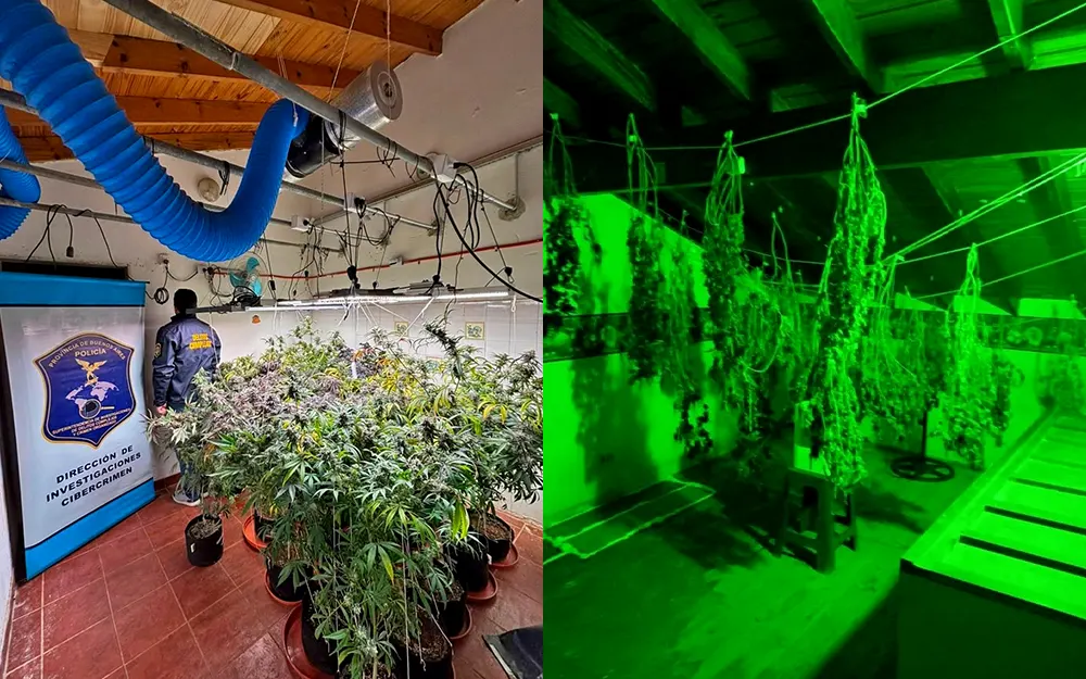 Narcodelivery: desbaratan una banda que vendía marihuana por redes sociales en Escobar