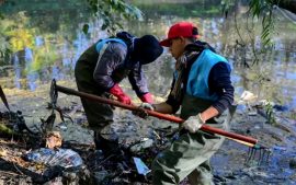 El Municipio y Consultatio intervienen un sector crítico del arroyo Escobar.