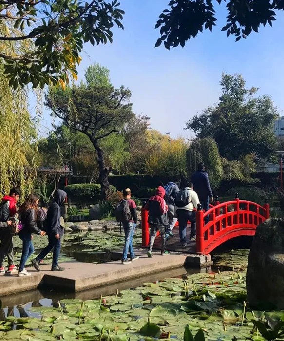 Gente recorriendo el Jard&iacute;n Japon&eacute;s