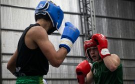 Boxeo: dos competidores sobre el ring