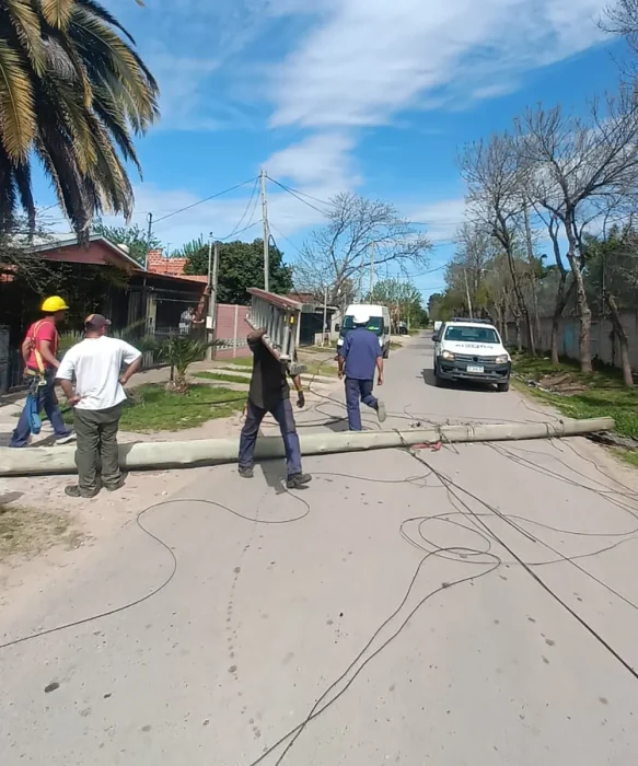 El poste de madera y parte del cableado quedaron atravesados sobre la calzada.