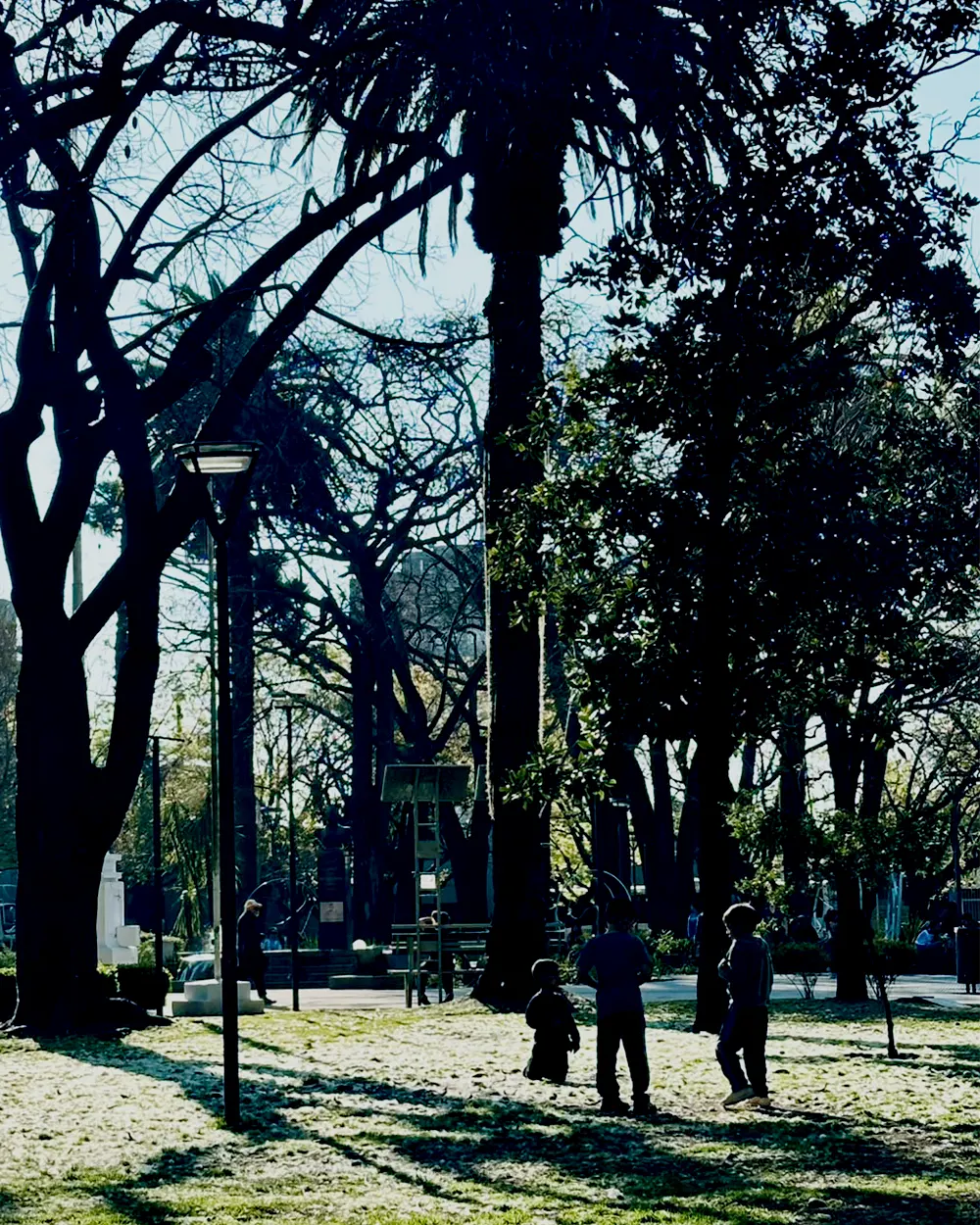 Chicos jugando con la paina de los palos borrachos en la plaza.