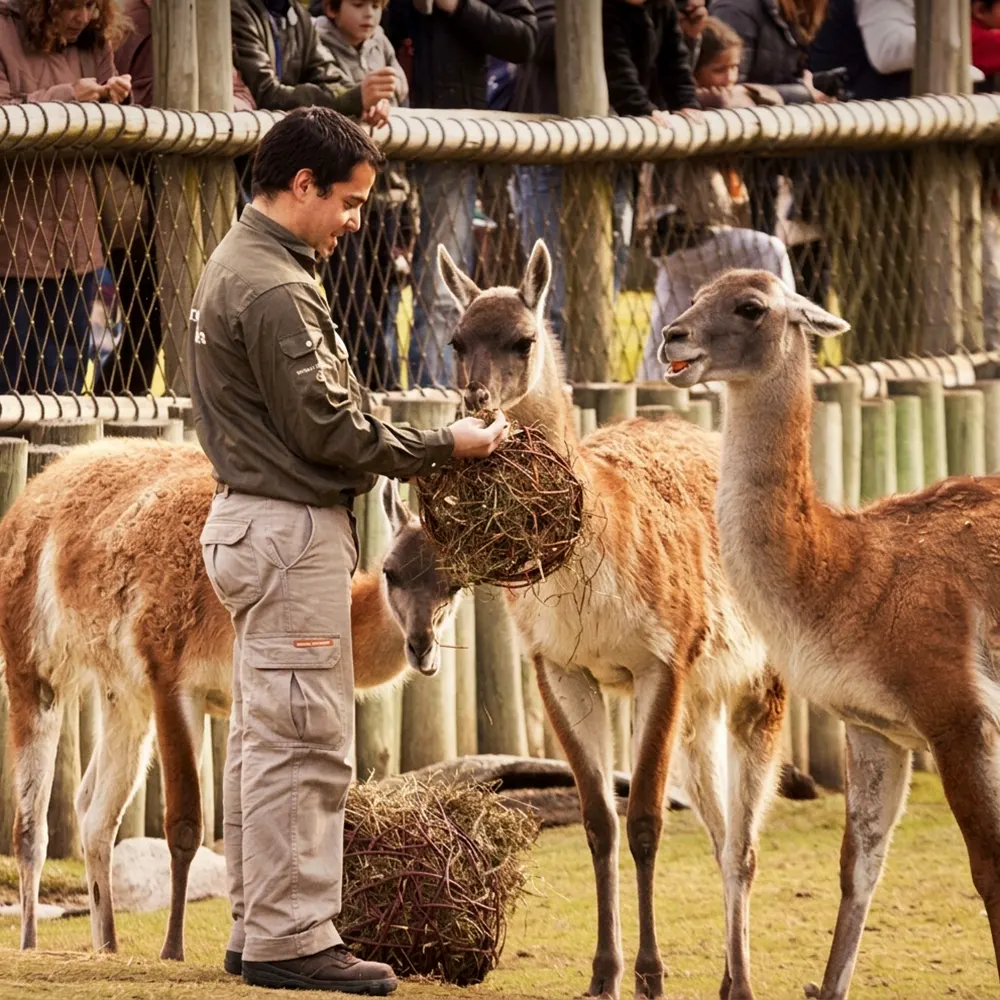 Cuidador de animales de Temaikén.