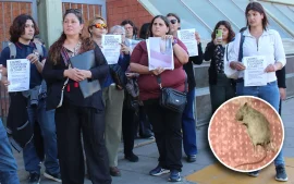 Reclamo de los padres de familia de la escuela técnica por la aparición de roedores