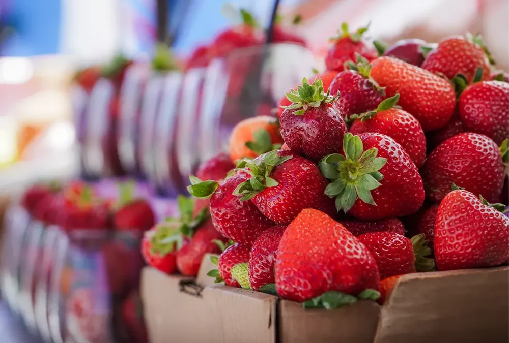 Escobar se prepara para celebrar la segunda edición de la Fiesta de la Frutilla