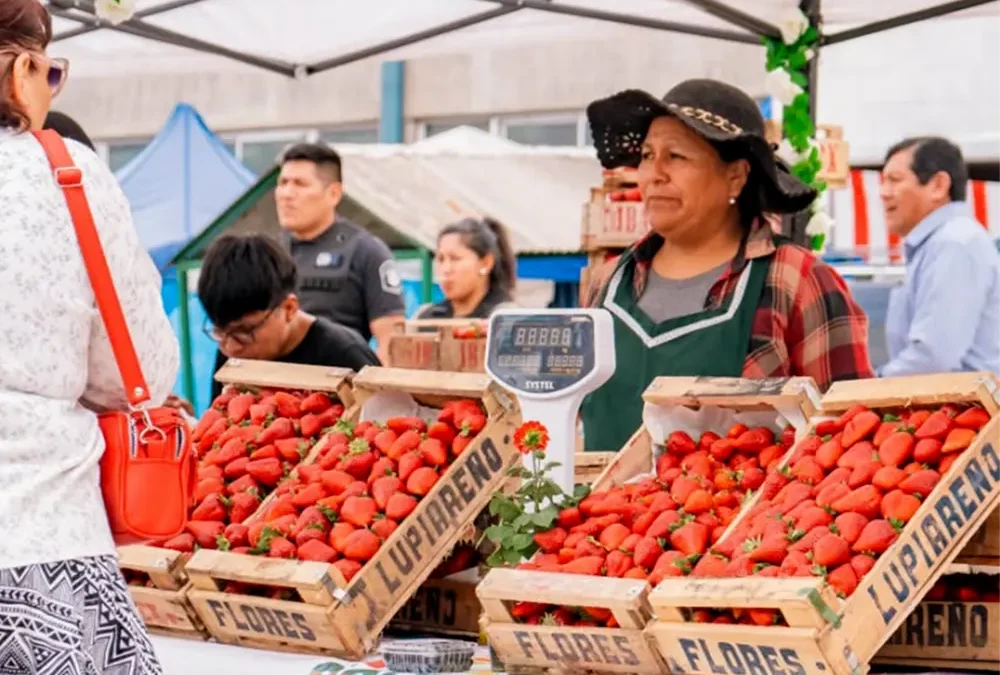 Escobar se prepara para celebrar la segunda edición de la Fiesta de la Frutilla