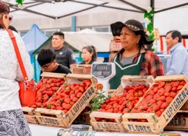 Un stand de la Fiesta de la Frutilla 2025
