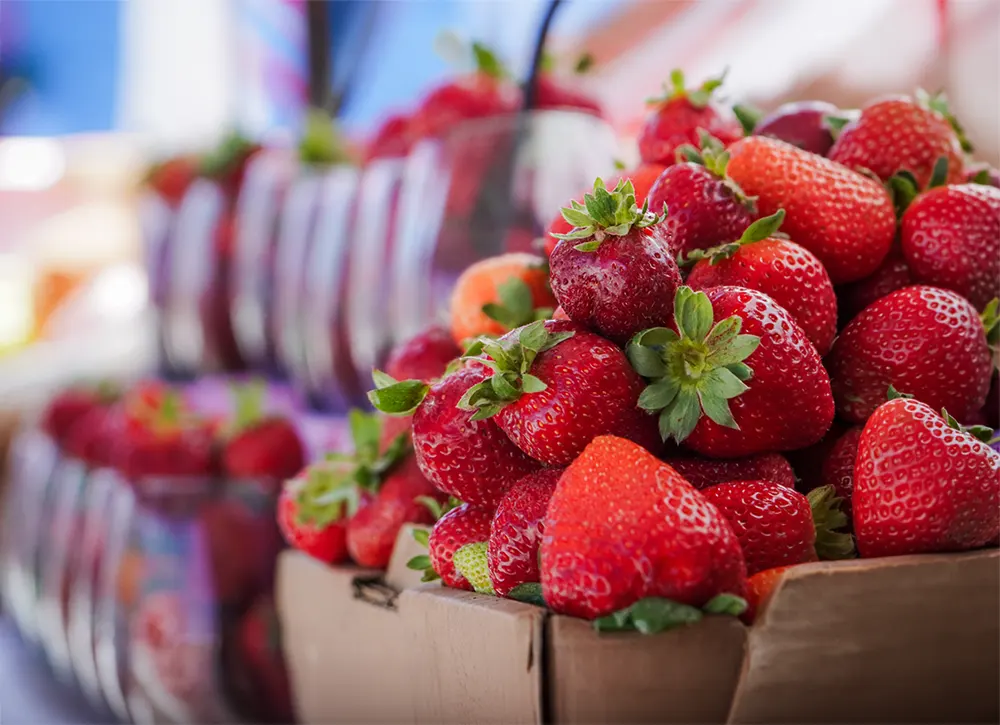 Fiesta de la frutilla