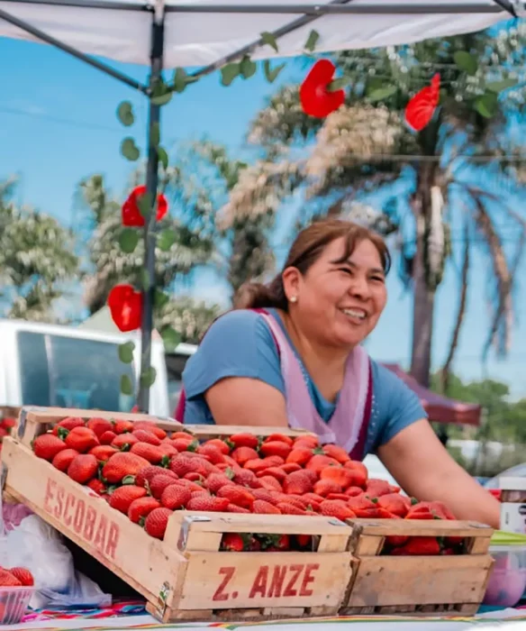 La venta directa de frutillas.